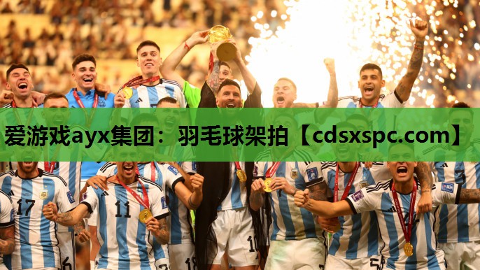 羽毛球架拍