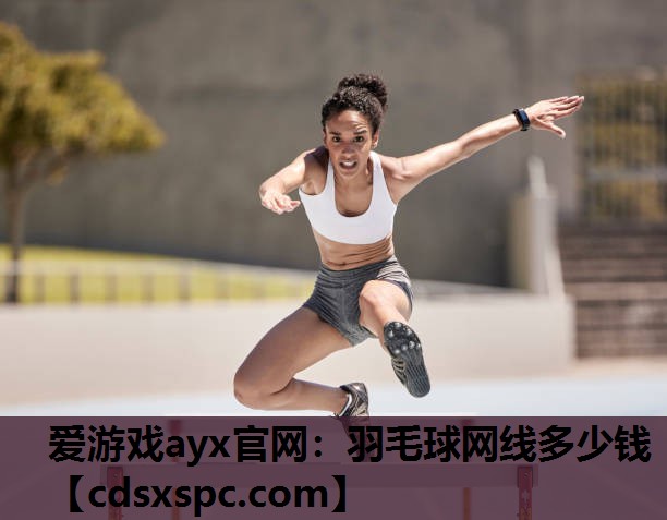 羽毛球网线多少钱
