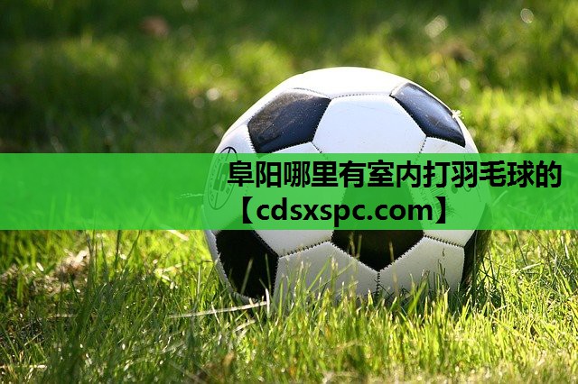阜阳哪里有室内打羽毛球的