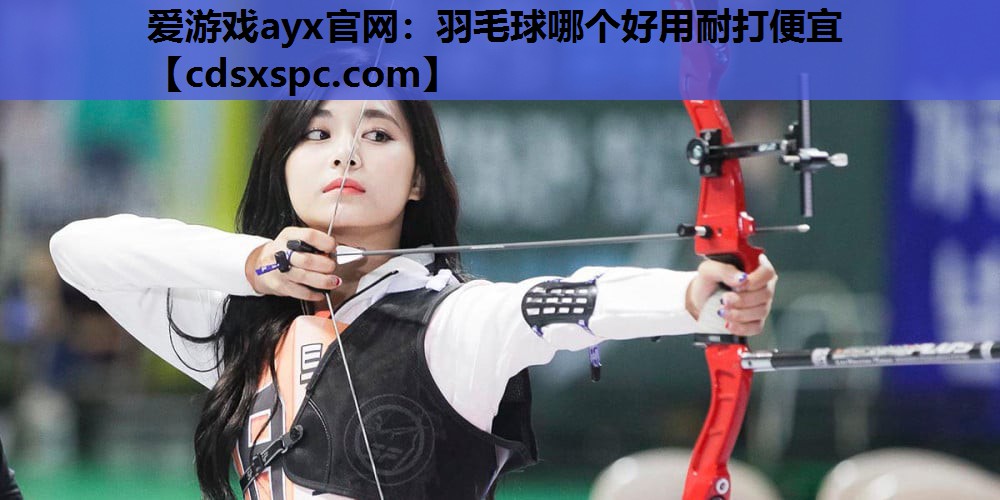 羽毛球哪个好用耐打便宜
