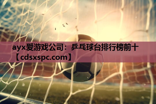 乒乓球台排行榜前十
