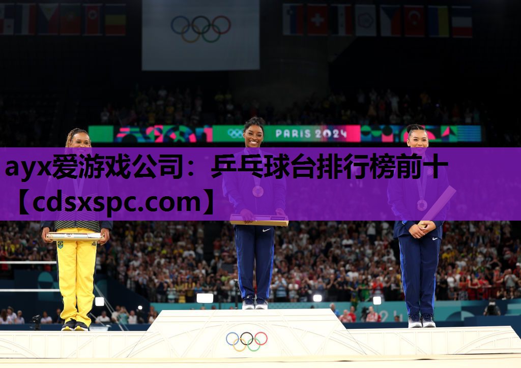 乒乓球台排行榜前十