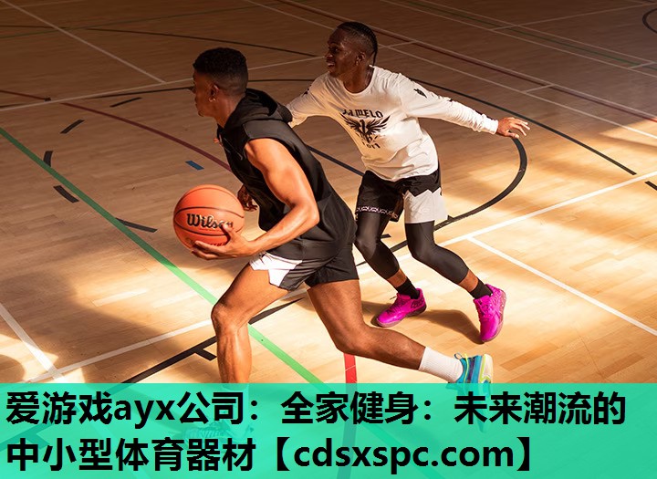 全家健身：未来潮流的中小型体育器材